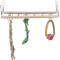 Alternative view of Pont suspendu pour petits animaux