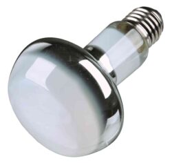 Alternative view of Lampe Spot-Réflecteur, 100 W