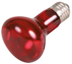 Alternative view of Lampe Spot infrarouge, rouge, 50 W