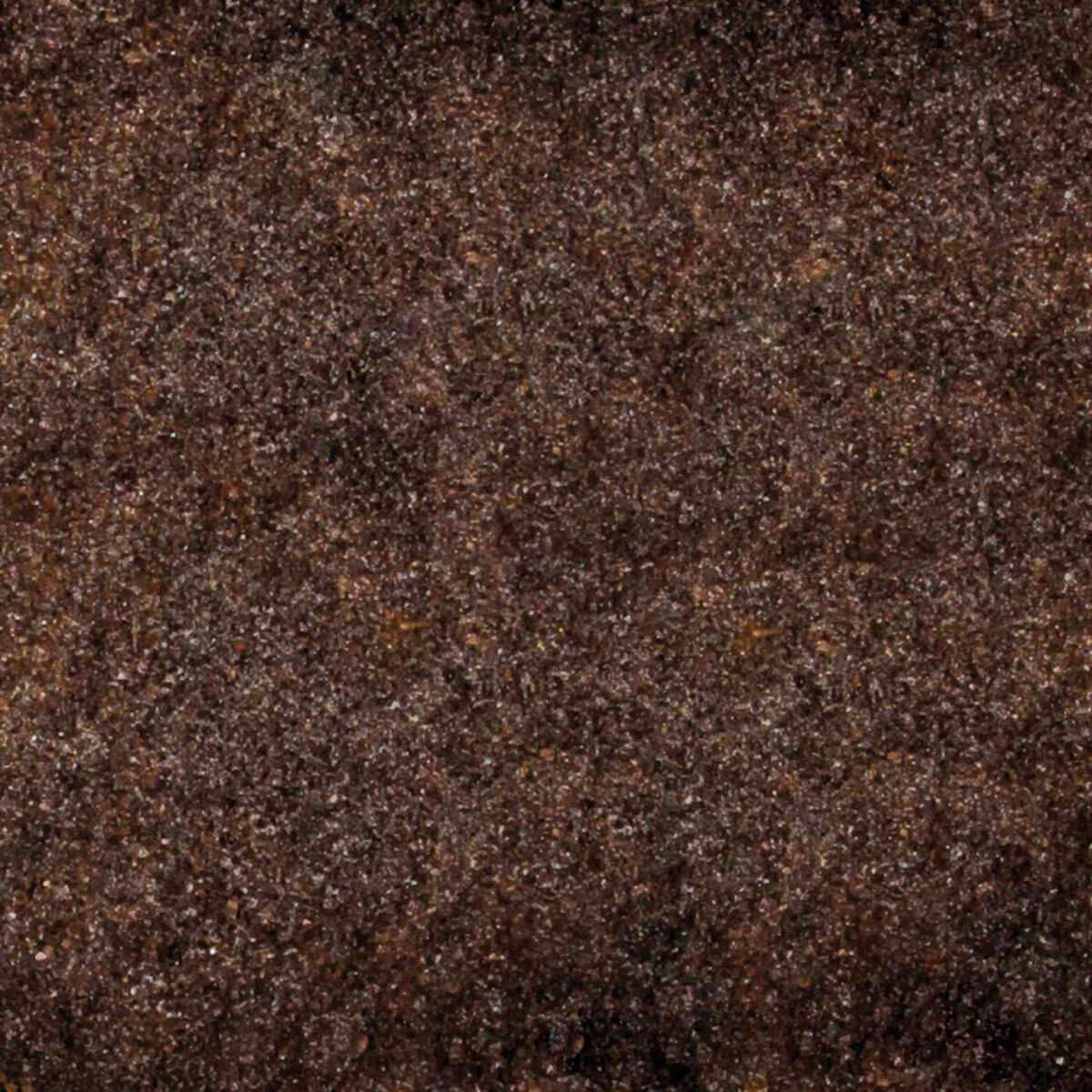 Naturhumus - Bodensubstrat für Terrarien 10L Naturhumus - Bodensubstrat für Terrarien 10L