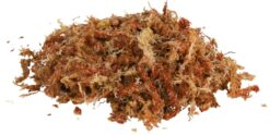 Mousse terrarium, substrat pour terr. tropical, produit 4,5