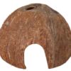 3 cachette noix de coco