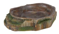 Écuelle à eau et gamelle,p.reptiles, 10x2.5x7.5cm