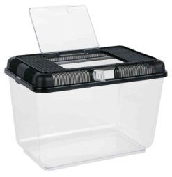 Alternative view of Boîte alimentaire et de transport, 38×26×24cm