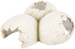 Alternative view of Abri pour reptiles, en résine polyester, 15 × 6 × 12 cm