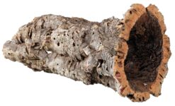 Tubes en liège L : ø 15-19 cm/28-55 cm