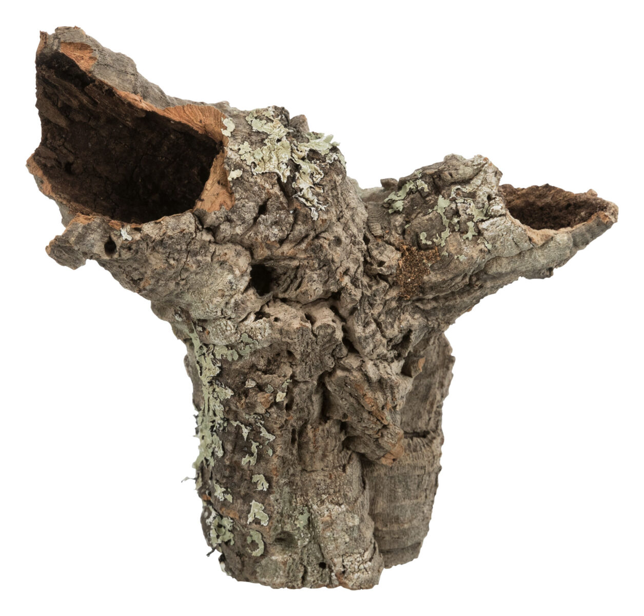 Tube en liège, XS-S : ø 5-10 cm/5-20 cm nur per VE10Stk. Tube en liège, XS-S : ø 5-10 cm/5-20 cm nur per VE10Stk.