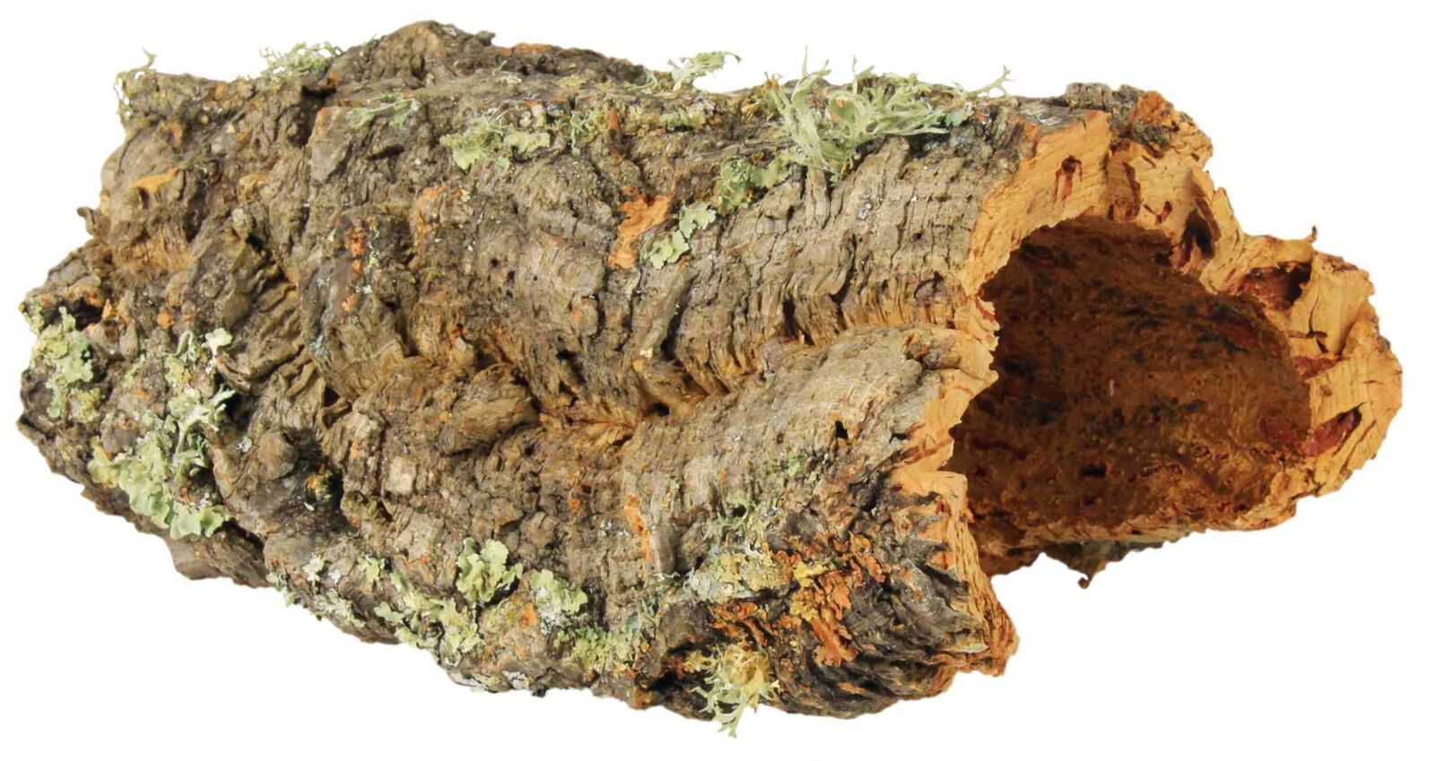 Plateau en liège, L: jusqu'à 55 cm nur per VE 8 Stk. Plateau en liège, L: jusqu'à 55 cm nur per VE 8 Stk.