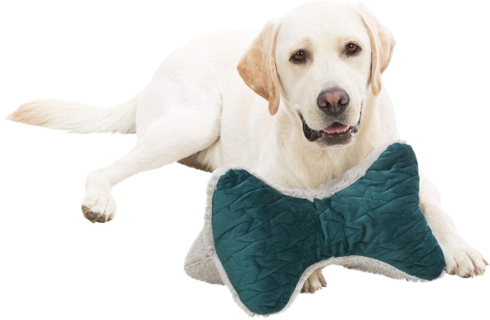 Oreiller Estelle, 34×20 cm, vert/gris Oreiller Estelle, 34×20 cm, vert/gris