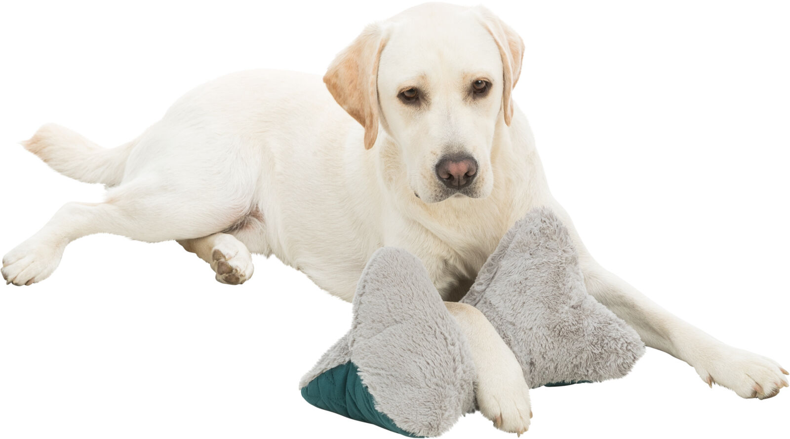 Oreiller Estelle, 34×20 cm, vert/gris Oreiller Estelle, 34×20 cm, vert/gris