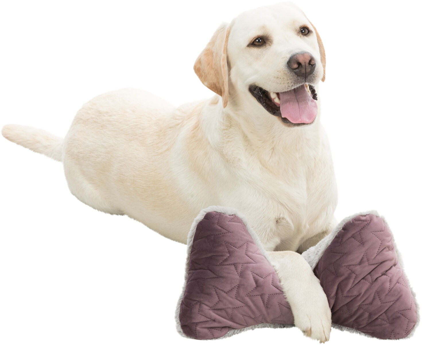 Oreiller Estelle, 34×20 cm, baie/gris Oreiller Estelle, 34×20 cm, baie/gris