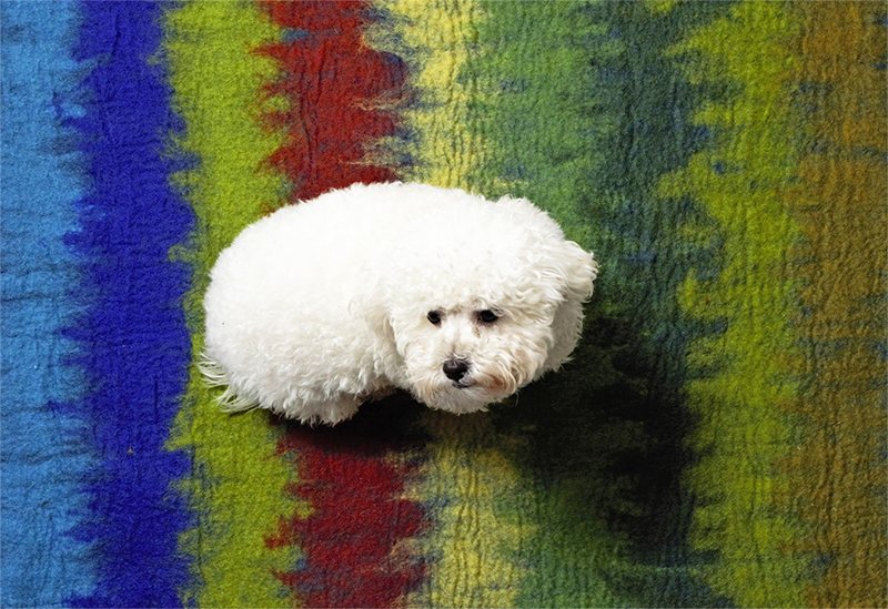 DDKC Matte Multi Ombre, grün/rot/blau M/ 100x70cm DDKC Matte Multi Ombre, grün/rot/blau M/ 100x70cm