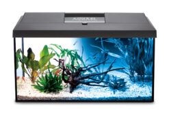 Alternative view of AQUARIUM SET LEDDY 60 NOIR D&N 2.0