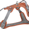 Premium harnais active, rouille
