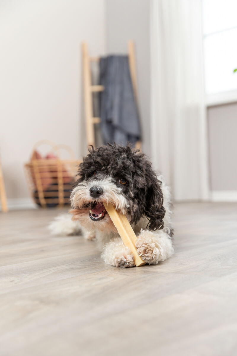 Fromage à mâcher XS: 13,5cm, 30 g Fromage à mâcher XS: 13,5cm, 30 g
