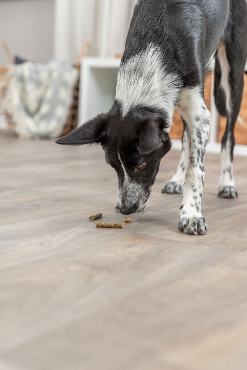Vegan Sticks aux fruits & légumes, 100 g Vegan Sticks aux fruits & légumes, 100 g