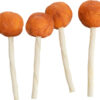 PREMIO Lolly mit Kabeljau, lose, 9cm, 15 g