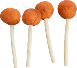 PREMIO Lolly au cabillaud, en vrac, 9cm, 15 g