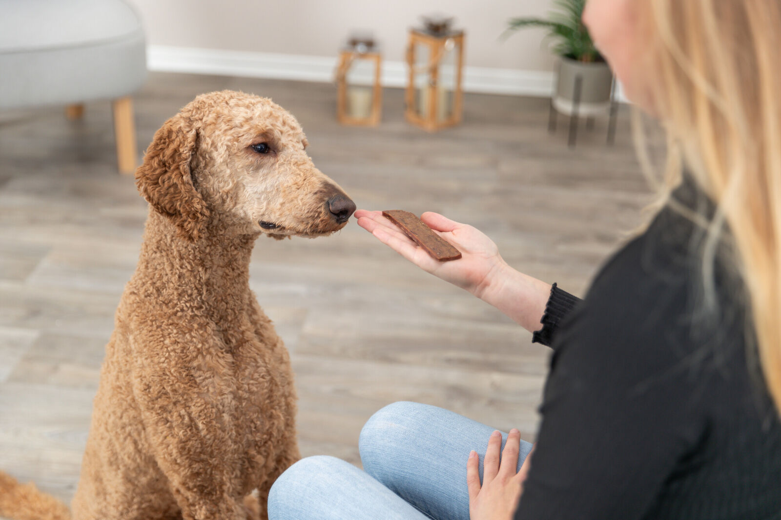 PREMIO Filets - agneau, 80 g PREMIO Filets - agneau, 80 g