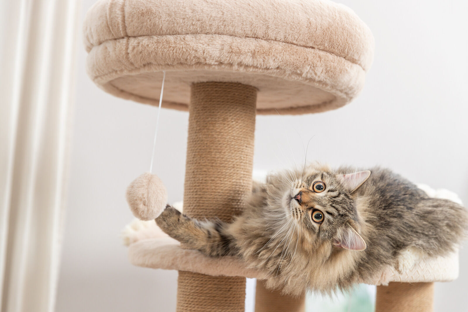 Arbre à chat Boho Filippo, 114cm, beige Arbre à chat Boho Filippo, 114cm, beige