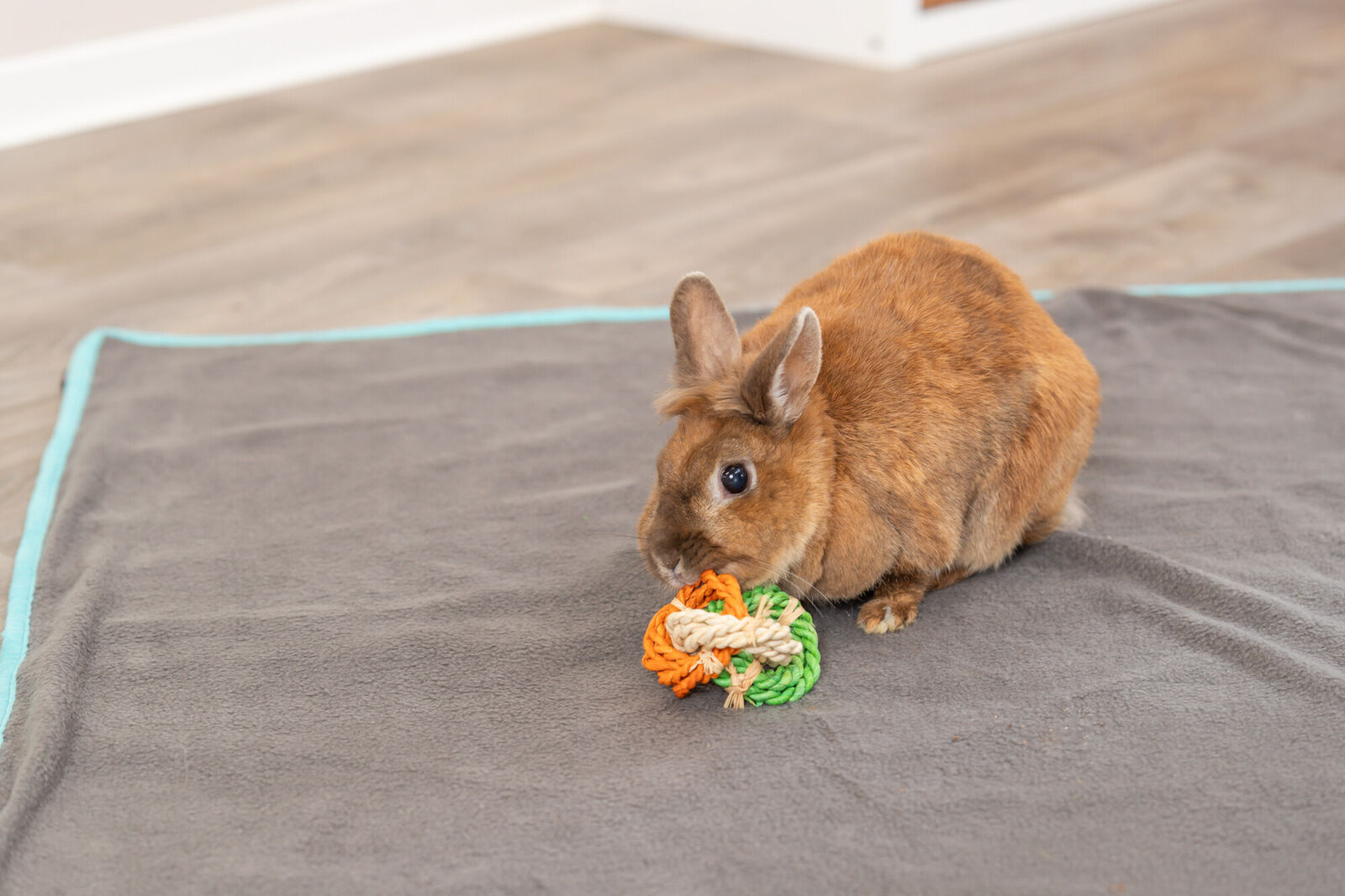 Jouet, en feuille de maïs, ø 6×15cm Jouet, en feuille de maïs, ø 6×15cm