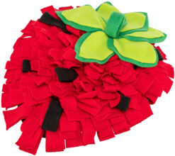 Tapis à renifler fraise, 33×40cm, rouge