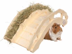 Alternative view of Pont de foin