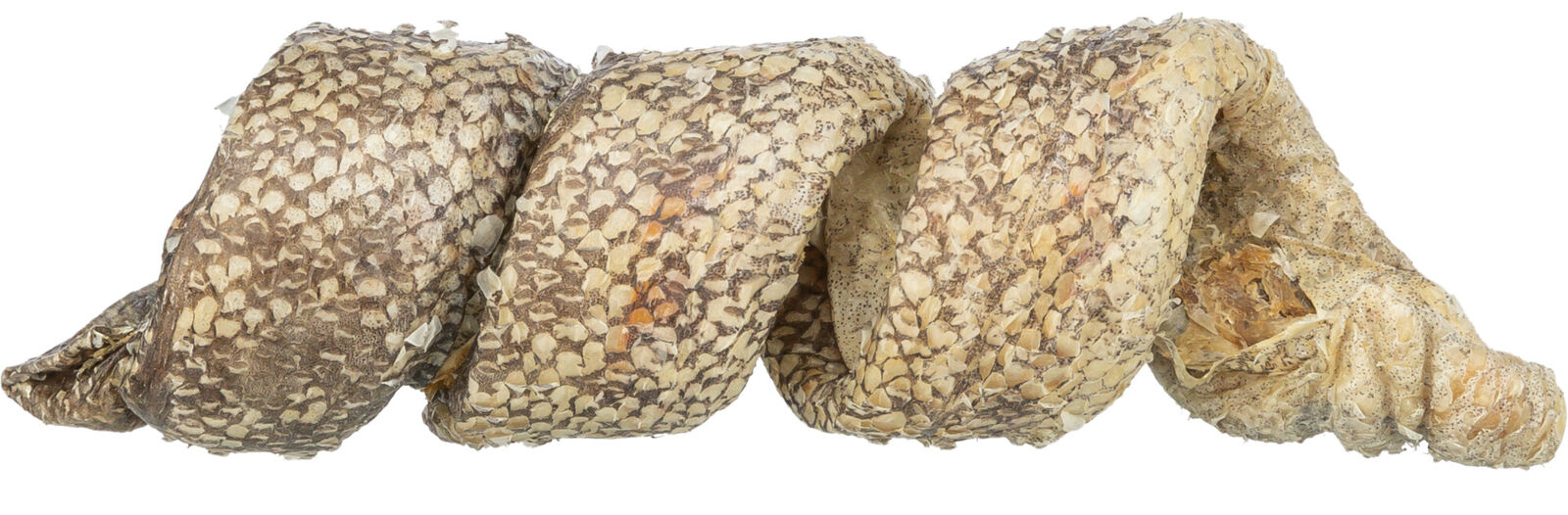 Denta Fun Curl mit Kabeljau, lose, 12cm, 25 g Denta Fun Curl mit Kabeljau, lose, 12cm, 25 g