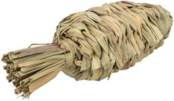 Alternative view of Carotte, en herbe, 20cm/6cm