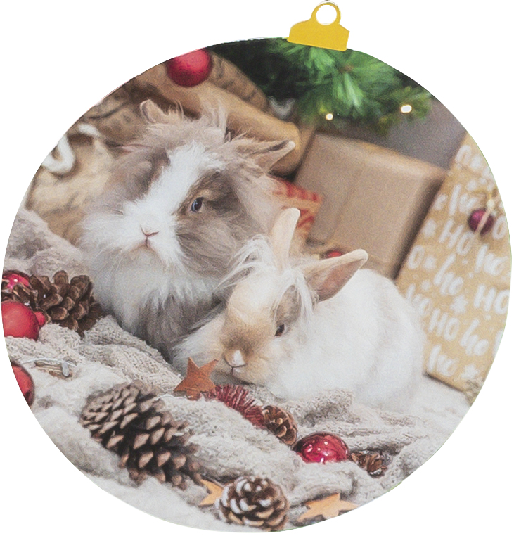 Boîte presentoir en bois, 31×16.4×45cm Boîte presentoir en bois, 31×16.4×45cm