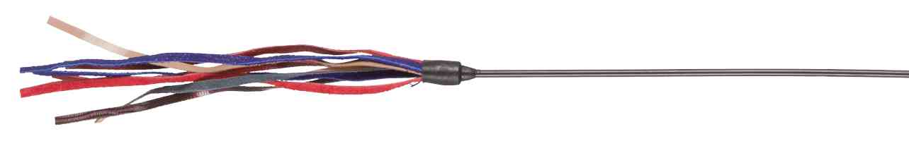 Baton avec courois cuir 65cm Baton avec courois cuir 65cm