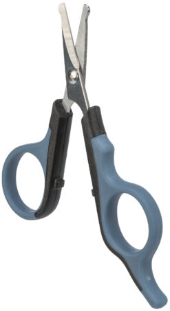 Alternative view of Ciceau p.face et pattes