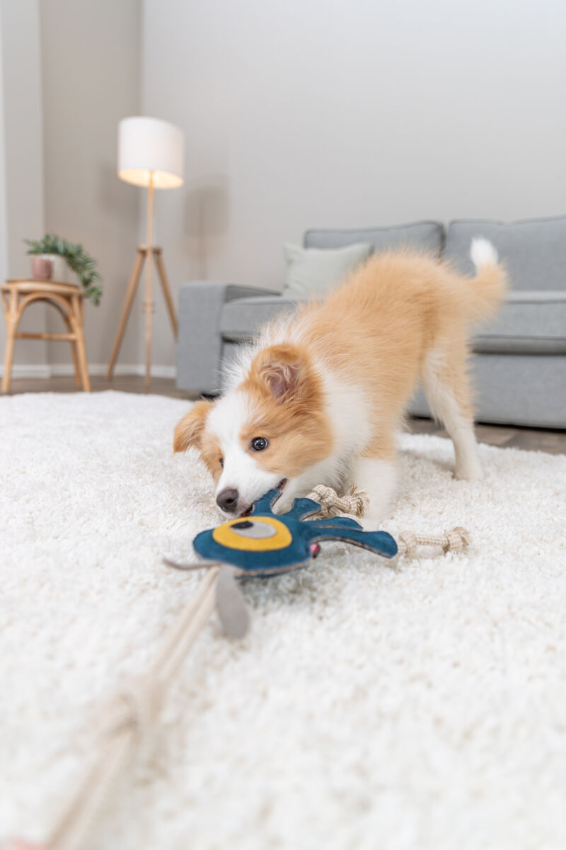 Monstre sur corde, en cuir/corde, 47cm Monstre sur corde, en cuir/corde, 47cm