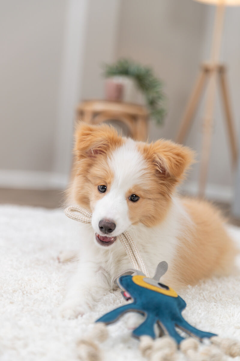 Monstre sur corde, en cuir/corde, 47cm Monstre sur corde, en cuir/corde, 47cm