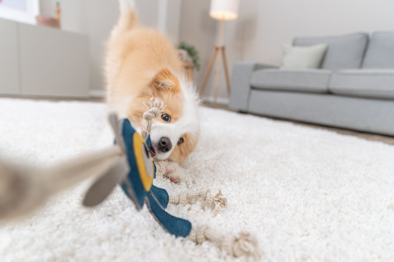 Monstre sur corde, en cuir/corde, 47cm Monstre sur corde, en cuir/corde, 47cm