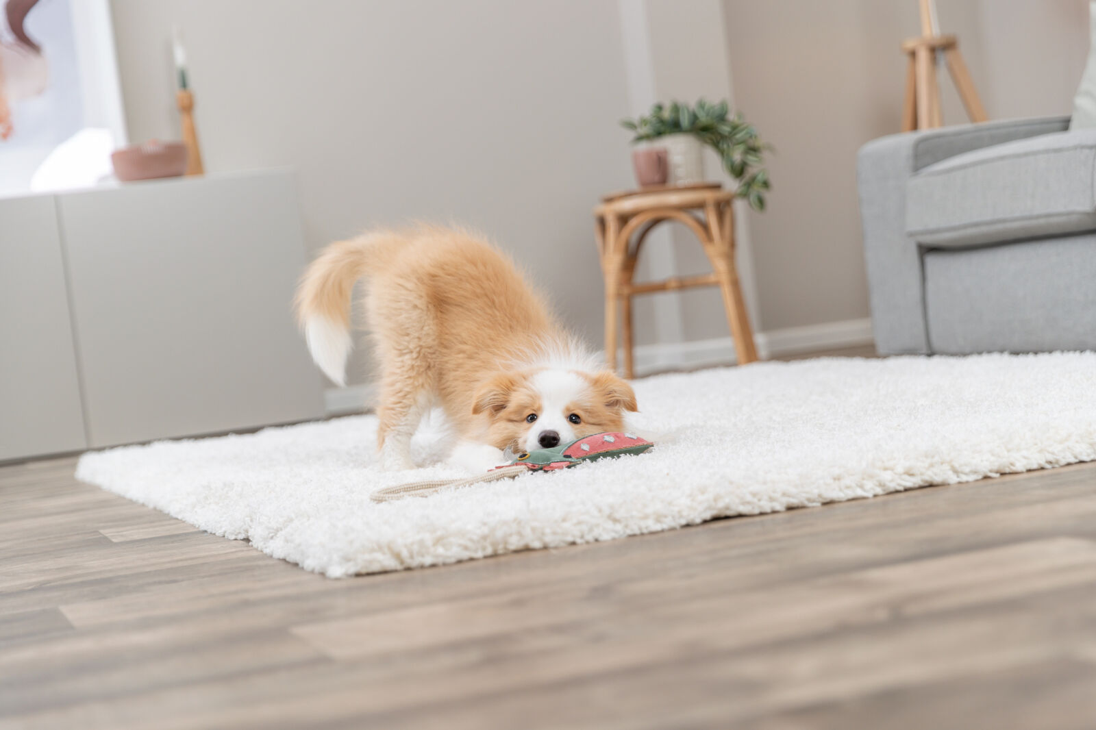 Dragon sur corde, en cuir/corde, 55cm Dragon sur corde, en cuir/corde, 55cm