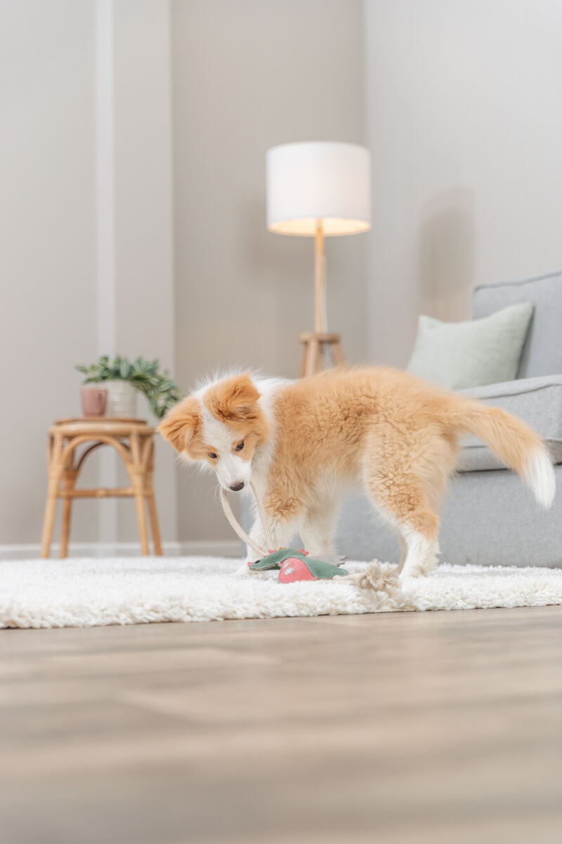 Dragon sur corde, en cuir/corde, 55cm Dragon sur corde, en cuir/corde, 55cm