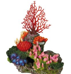 Récife corail av. diffuseur