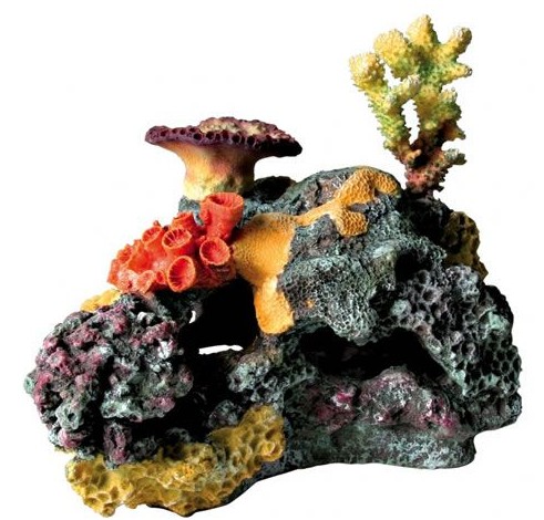 Récif de corail 32 cm Récif de corail 32 cm