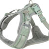Harnais Premium FlexMesh, coupe large, sauge
