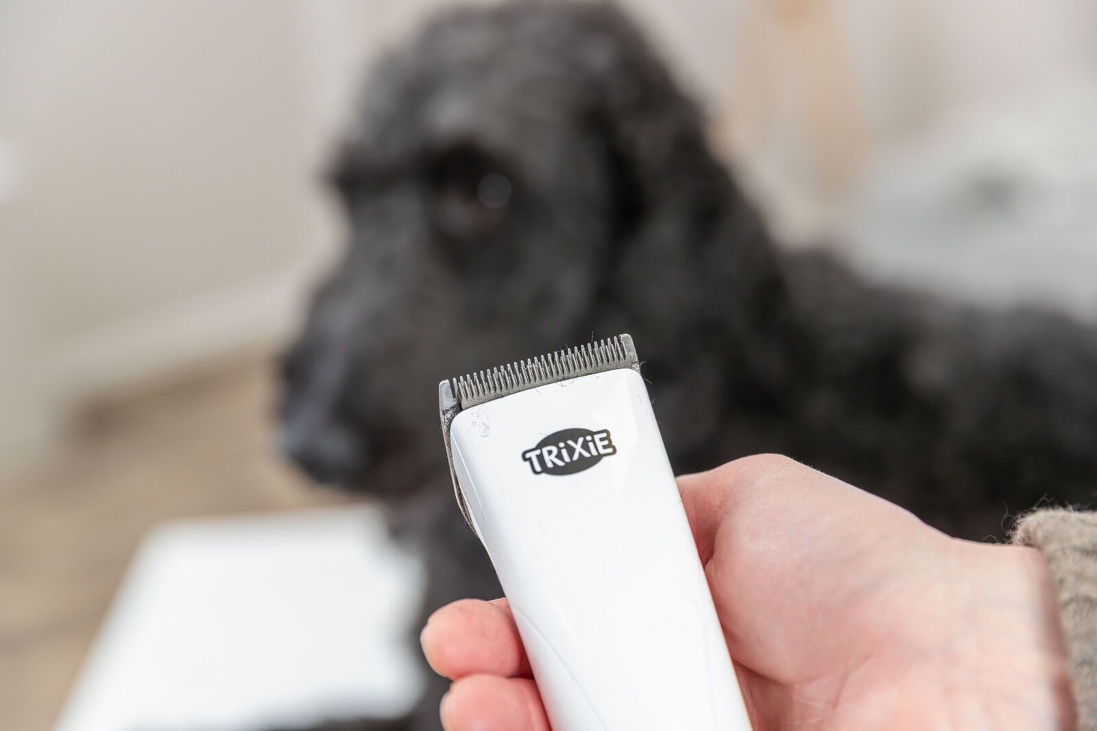 Kit de tondeuse sans fil TR1600, batterie, 10 W Kit de tondeuse sans fil TR1600, batterie, 10 W