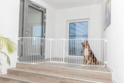 Barrière, en métal - 5 éléments, avec porte, 62,5-300×76,5cm