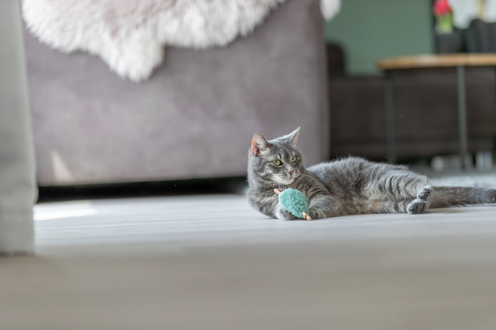 Matatabi Herz, Plüsch, 12cm, diverse Matatabi Herz, Plüsch, 12cm, diverse