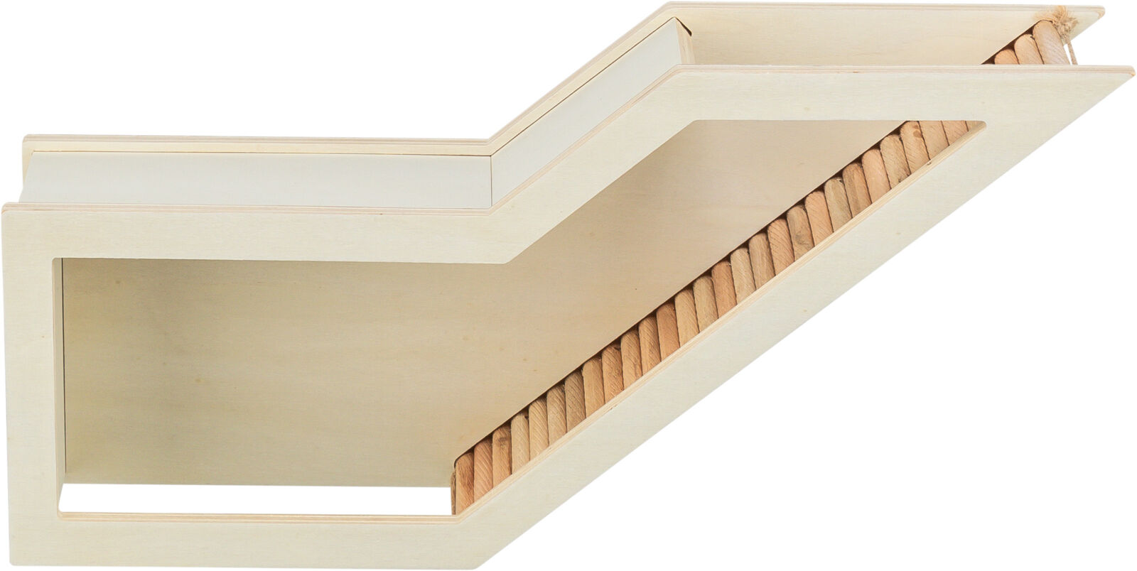 Watchbox avec tunnel, 36×17cm Watchbox avec tunnel, 36×17cm