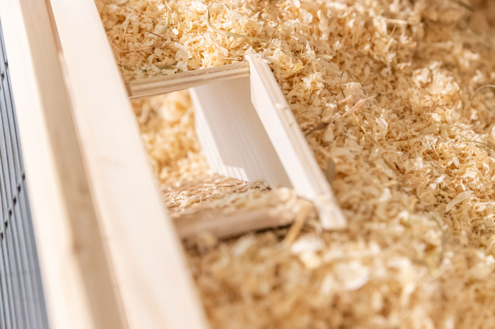 Watchbox avec tunnel, 36×17cm Watchbox avec tunnel, 36×17cm