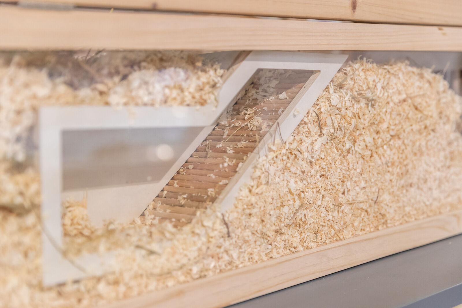 Watchbox avec tunnel, 36×17cm Watchbox avec tunnel, 36×17cm