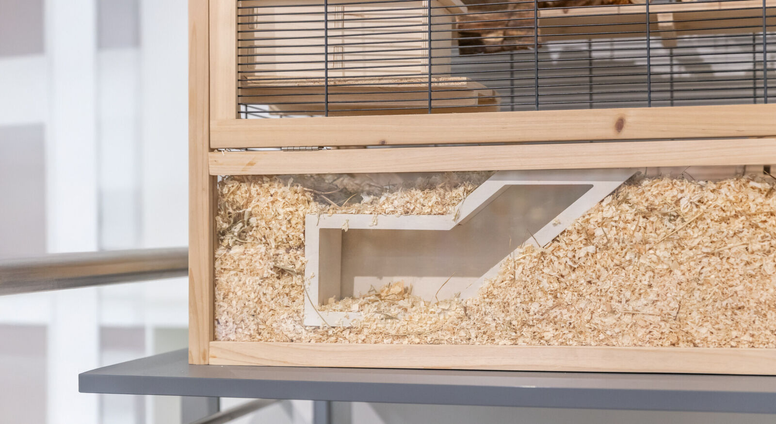 Watchbox avec tunnel, 36×17cm Watchbox avec tunnel, 36×17cm