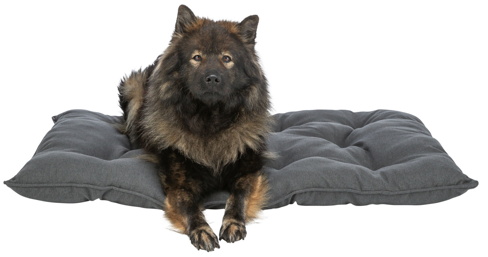 Kissen Caliente, eckig, dunkelgrau 59×50cm Kissen Caliente, eckig, dunkelgrau 59×50cm