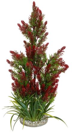 Alternative view of AQUAPLANT GIANT