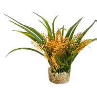 Alternative view of NANO FIESTA FLOWER